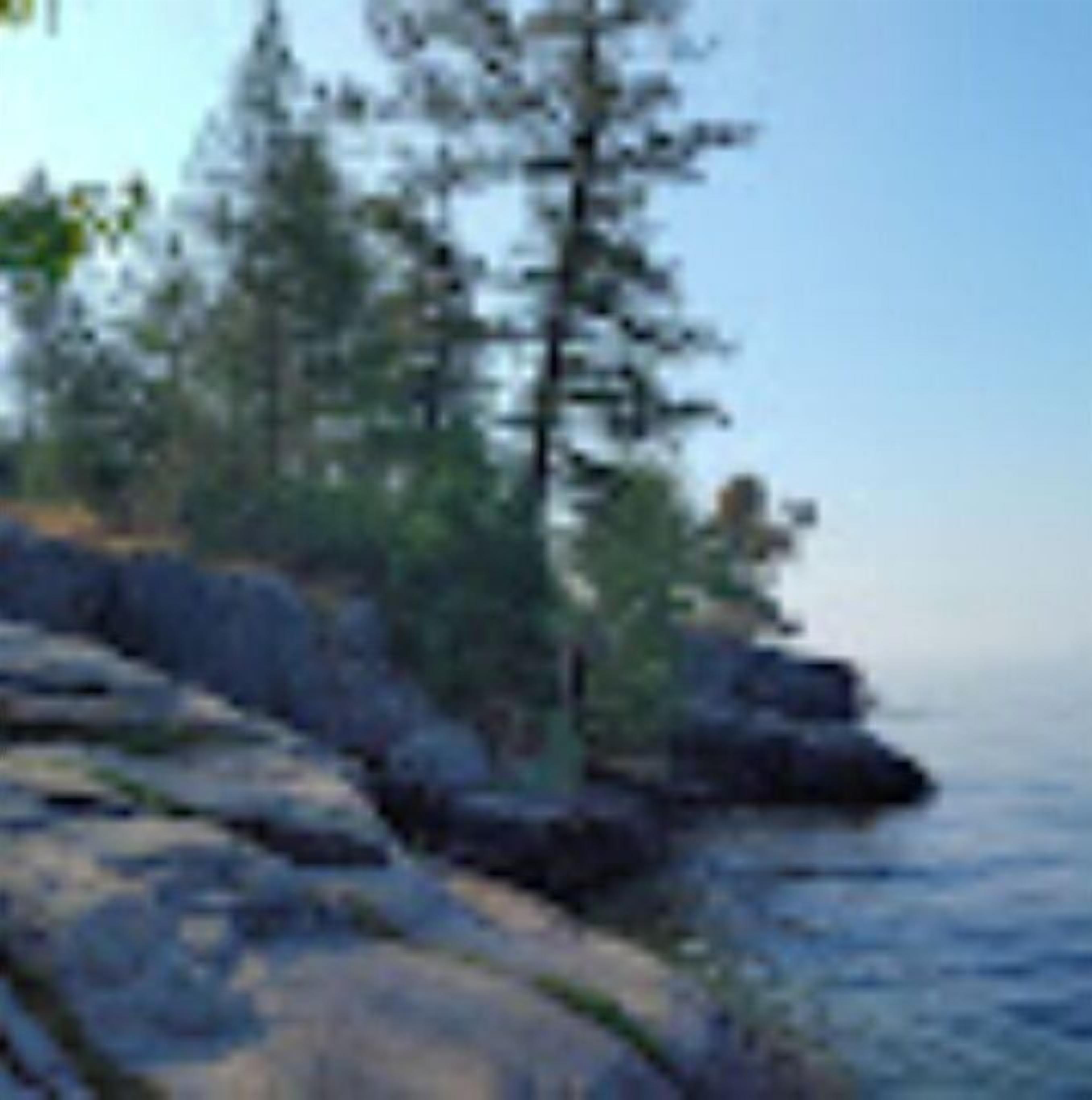 A coastal landscape with rocky terrain and dense green trees.