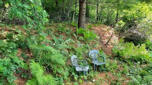 A natural outdoor area with two plastic chairs and a table, surrounded by dense green foliage and trees. - Remodeled country farmhouse, 3 min drive from Mississippi River, Peaceful/Clean. (Genoa)