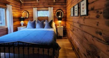 Urban Log Cabin Near Downtown Greenville