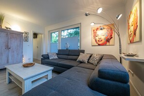 Smart TV, fireplace, DVD player, books