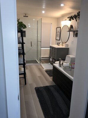 Hair dryer, bidet, towels, soap - Private Guest House w/ Parking Mins to I-70. Close to Red Rocks (Wheat Ridge)