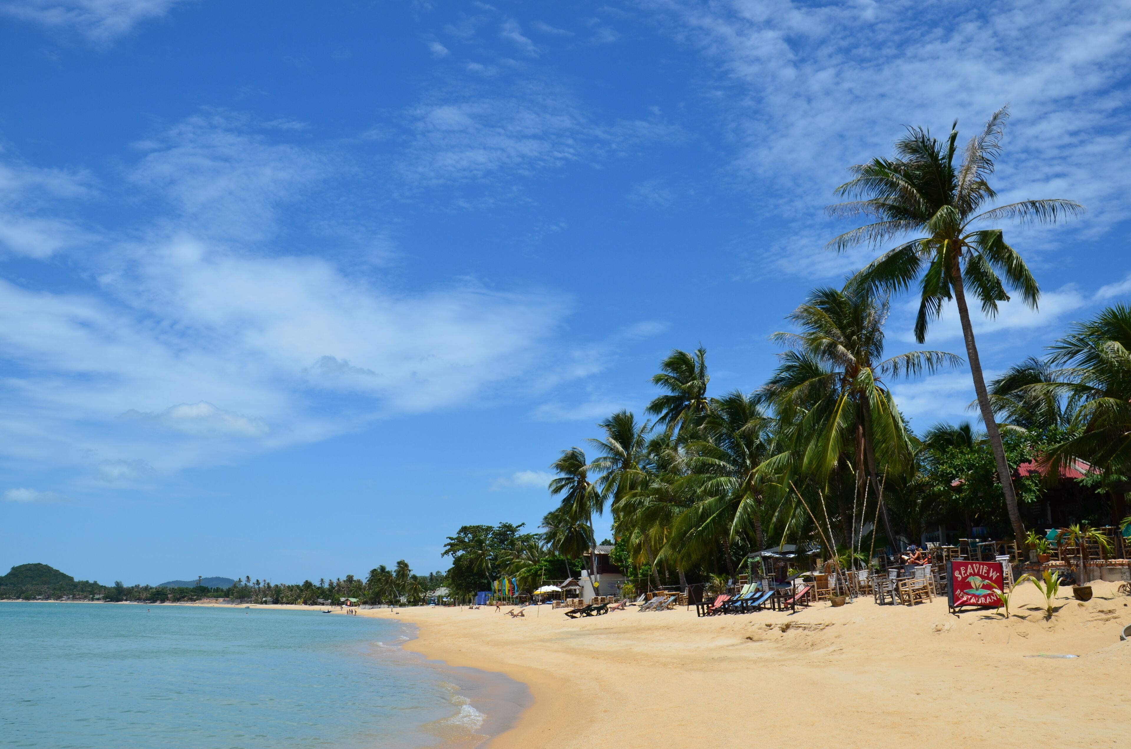 A beach with palm trees, a sign for a restaurant, and a clear blue sky.