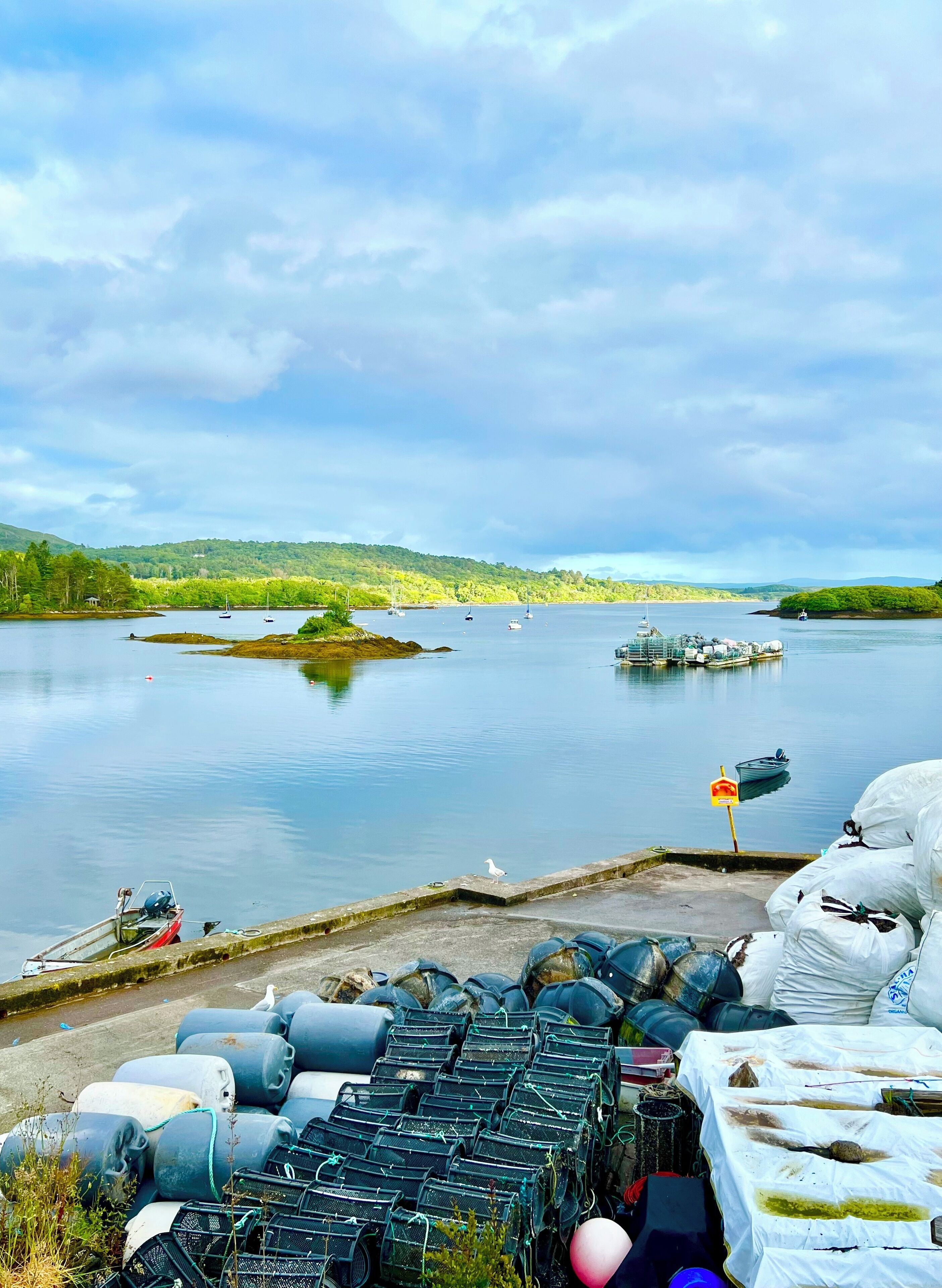 Área da propriedade