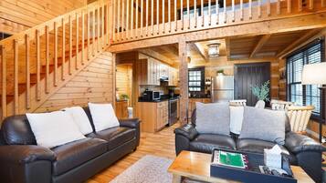 Télévision, cheminée, lecteur de DVD