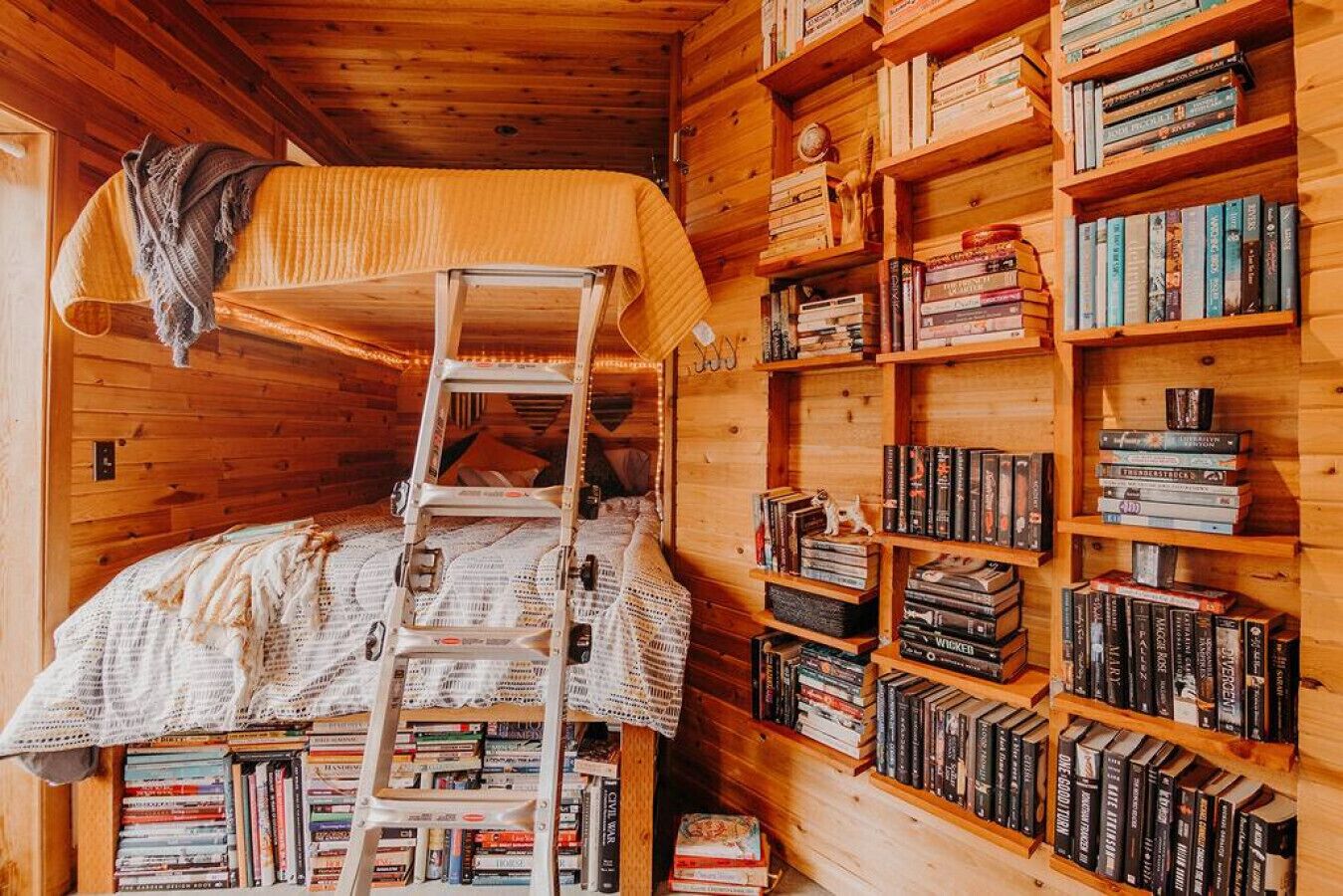 A cozy cabin with a bunk bed, a ladder, and a bookshelf filled with books.