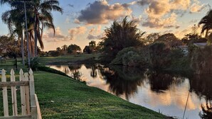 A serene riverside view with a wooden fence, lush greenery, and palm trees under a partly cloudy sky.