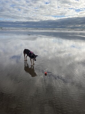 Beach towels - Spacious Beach House - 30 seconds to sand (Manzanita)