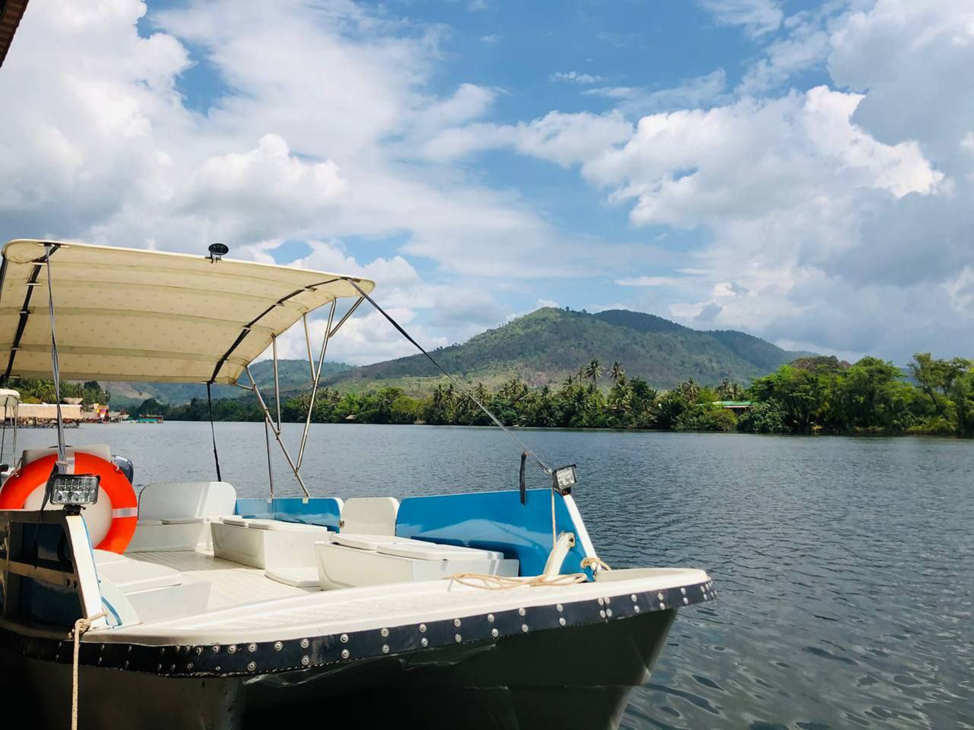 A boat with a canopy, life preserver, and a view of a mountain and greenery in the background.
