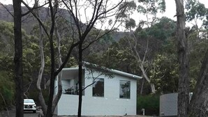 A small, single-story cabin with a sloped roof, surrounded by trees and a gravel driveway. - Tenscott in Halls Gap (Halls Gap)