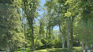A natural outdoor setting with a dirt path leading to a small stream, surrounded by trees and a grassy area. - Stunning views on tranquil lake. (Crosslake)