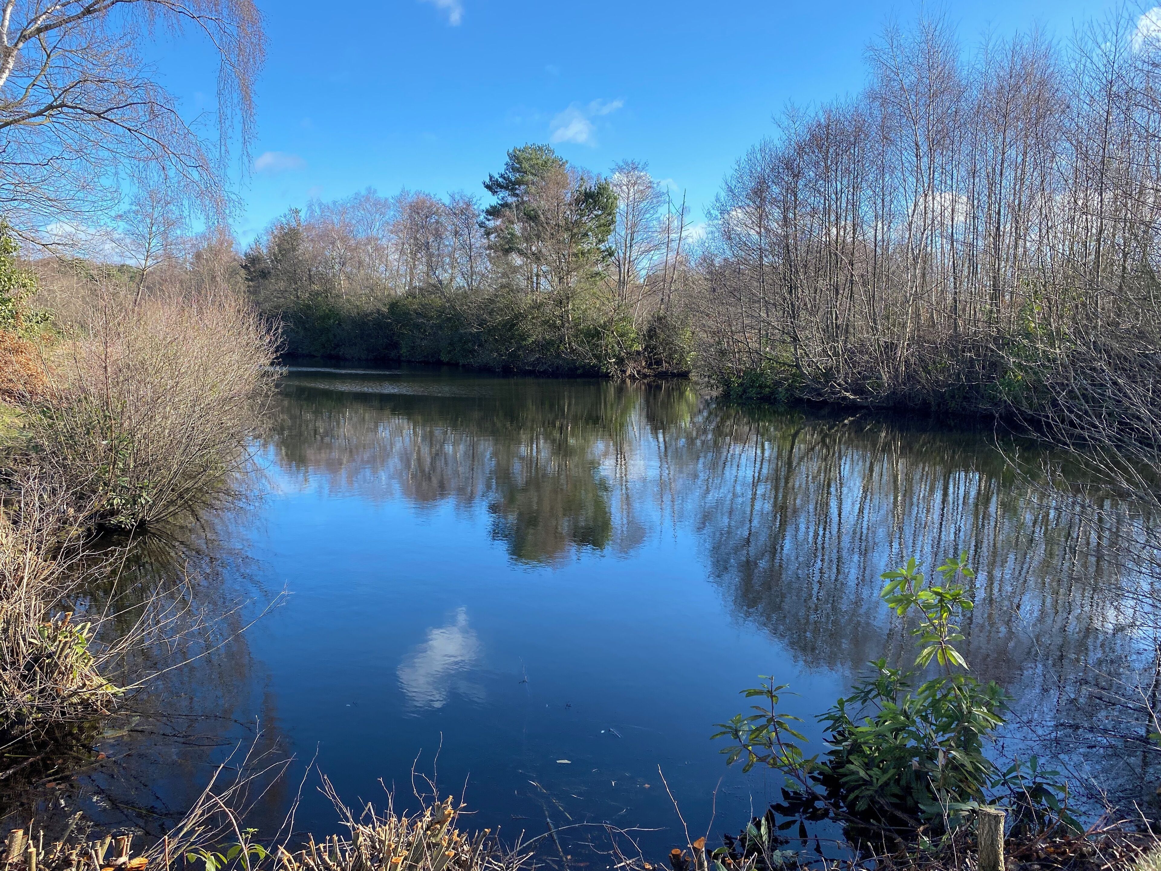 A calm river with reflections of trees and a clear sky.