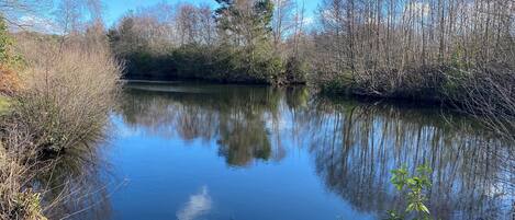 A calm river with reflections of trees and a clear sky.