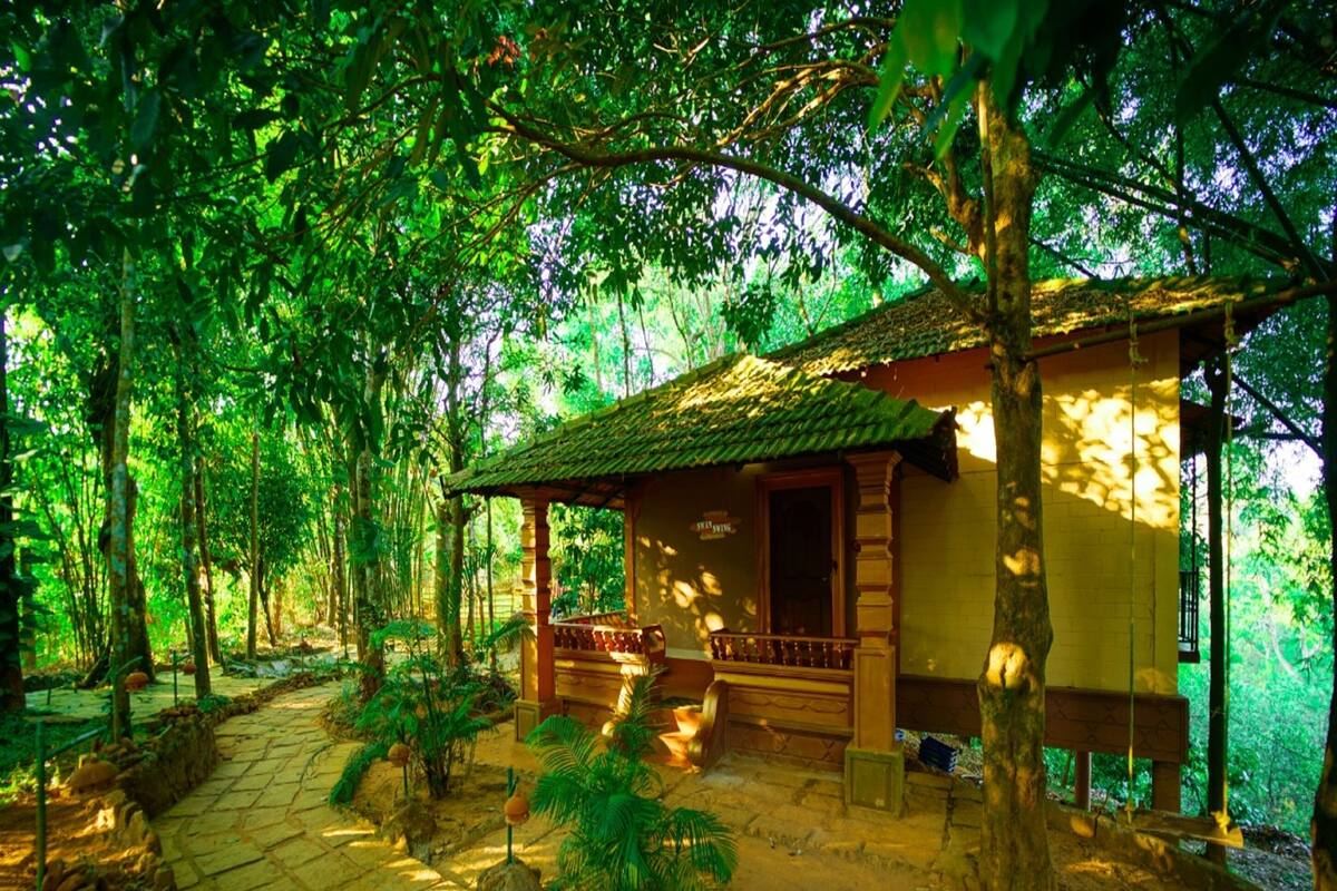 A rustic wooden structure with a porch, surrounded by lush greenery and a stone pathway.