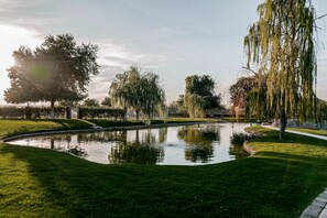 Property grounds - Luxury Gated Estate - Minutes to Peoria Sports Complex and Scottsdale (Peoria)