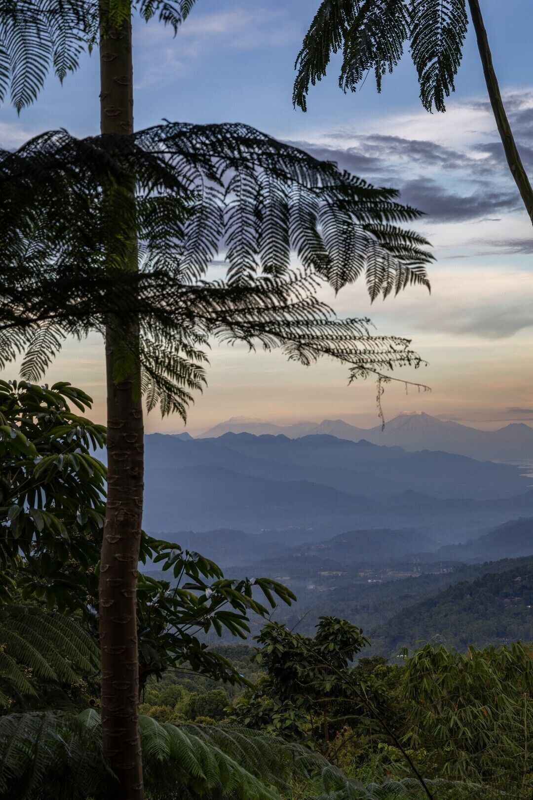 Eine gebirgige Landschaft mit dichtem Grün und klarem Himmel.