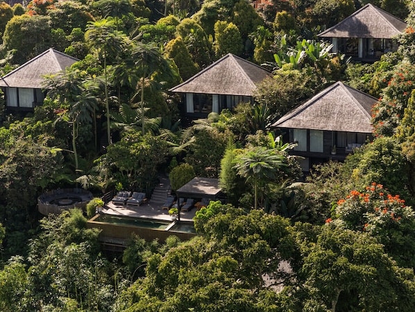 Un resort tropical con varias construcciones tipo bungalow rodeado de densa vegetación.