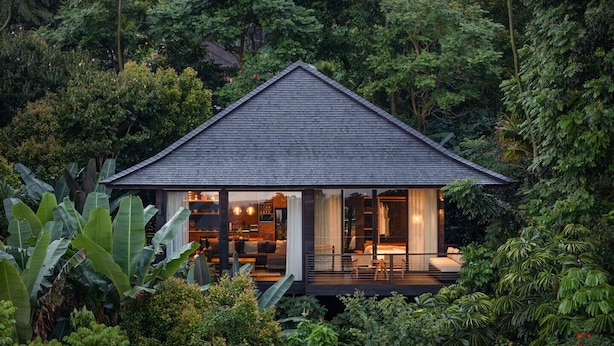 A modern house with a dark roof, surrounded by dense tropical vegetation. - Munduk Cabins by Desa Hay (Munduk)
