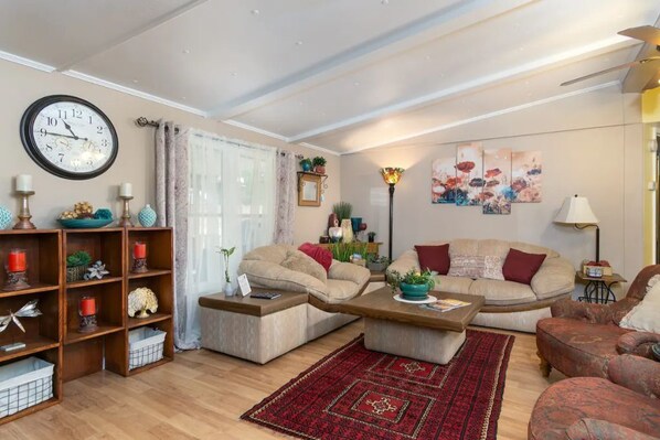 Smart TV, caminetto, lettore DVD