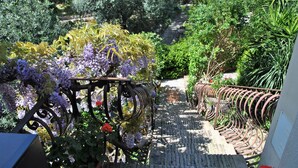 A garden with a metal trellis supporting purple flowers, a stone pathway, and various green plants. - Dinky Home Air-conditioned penthouse with sea view terrace (Formia)