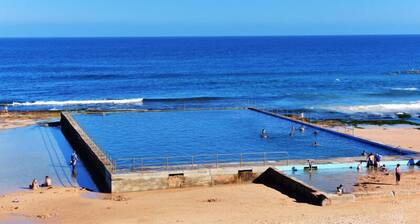 Point Bulli