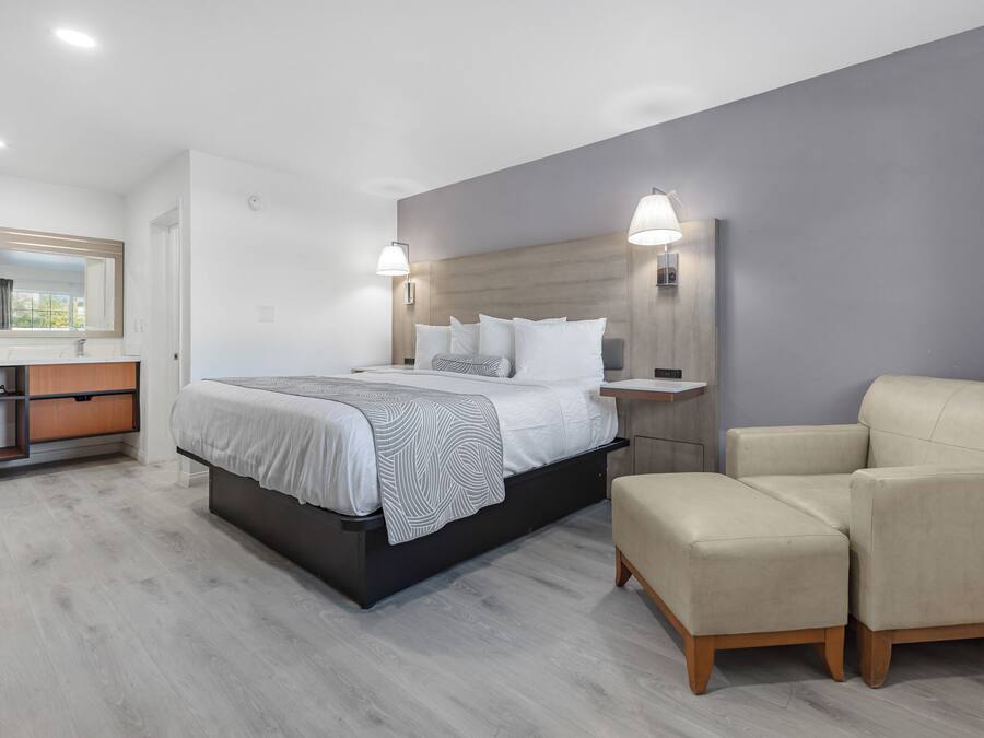 Una habitación de hotel moderna con una cama grande, lámparas de noche, un sofá y una mesita de noche de madera.