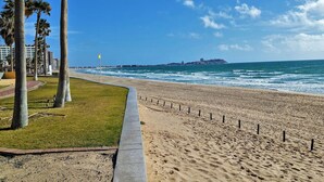 Une plage avec une promenade en béton, des palmiers et une vue sur l’océan.