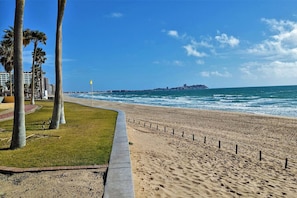 Una playa con paseo marítimo de concreto, palmeras y vista al océano.