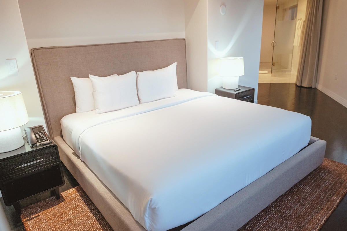 套房 (The Oasis) | 高档床上用品、办公桌、熨斗/熨衣板、免费 WiFi