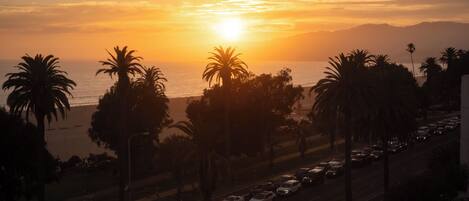 A sunset view with palm trees and a road with cars.