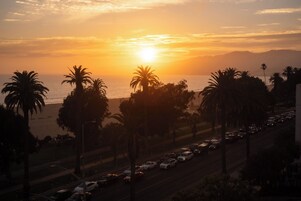 Vista del atardecer con palmeras y una carretera con coches.