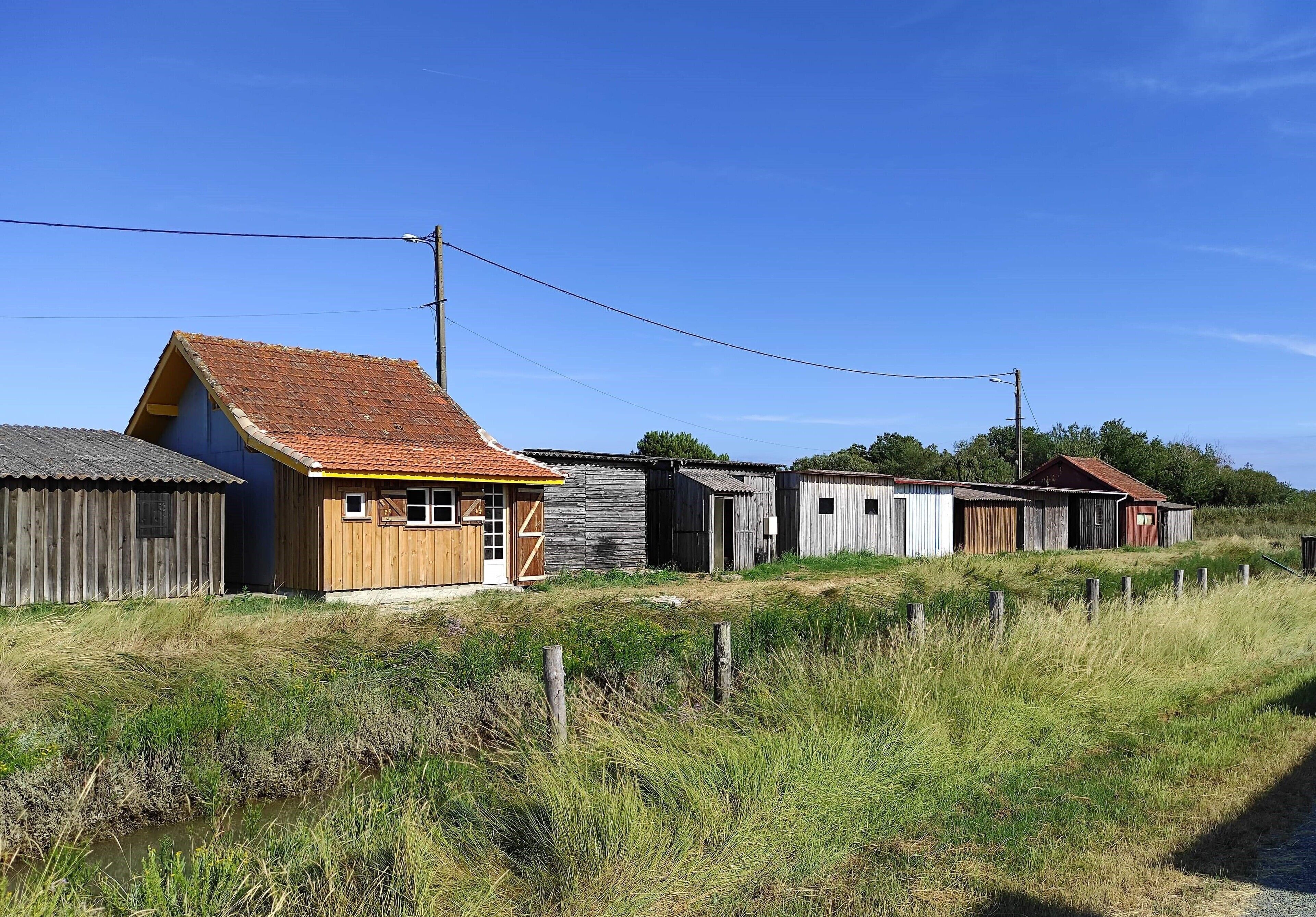 التنزّه سيراً على الأقدام