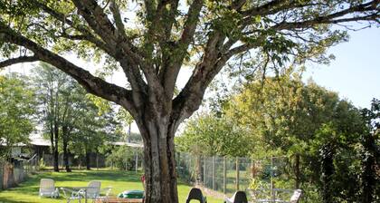 Hôtel Les Terrasses