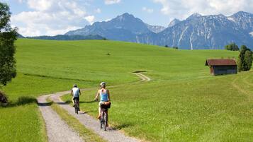 A gravel path in a green field with mountains in the background.