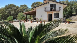 Exterior - Villa Cycas relaxation in nature (Lazio)