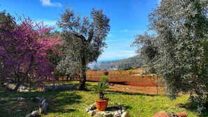 Property grounds - Villa Cycas relaxation in nature (Lazio)