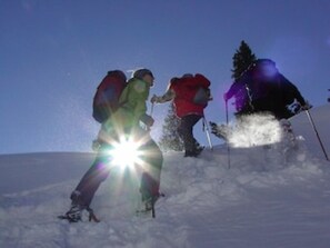 Deportes de invierno y ski