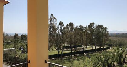 Apartment l'Estartit beach