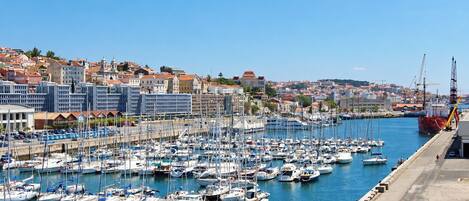 Marina com vários barcos atracados, céu claro e edifícios ao fundo.