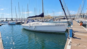 A marina with multiple sailboats docked, a wooden dock, and a clear sky.