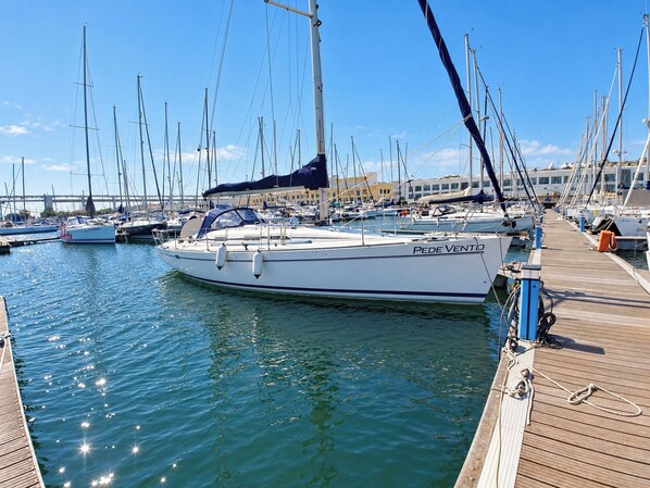 A marina with multiple sailboats docked, a wooden dock, and a clear sky.