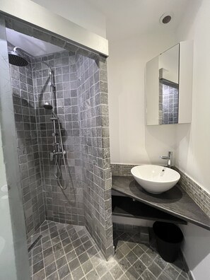 Secador de cabelo, toalhas de banho, papel higiênico 