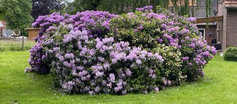 Vacation apartment Prass Varel and Dangast