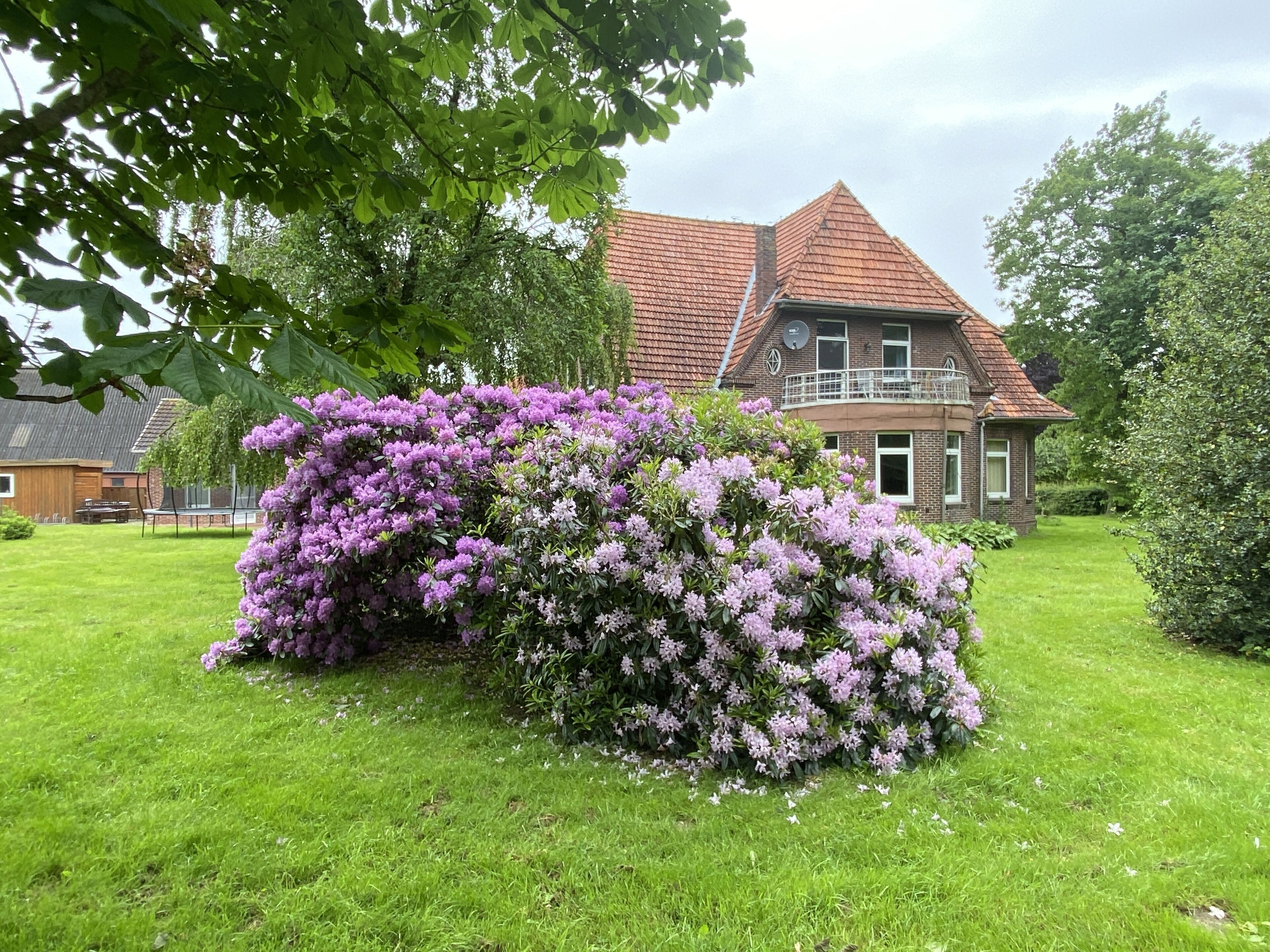 Overnatningsstedets område