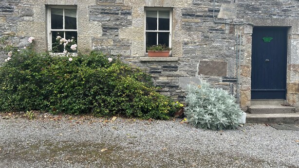 A stone building with three windows, a door with a butterfly decal, and a gravel driveway.