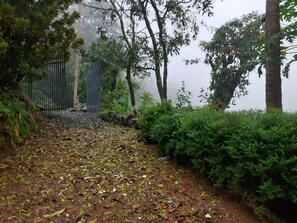 Stroll through a serene landscape of trees and shrubs along a winding path.