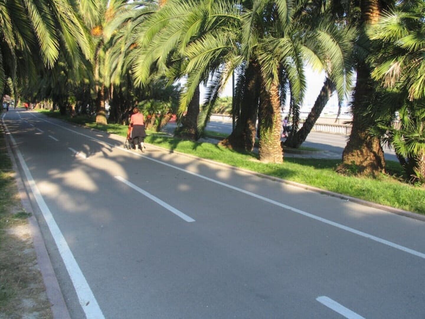 Une route bordée de palmiers, et une personne qui marche.