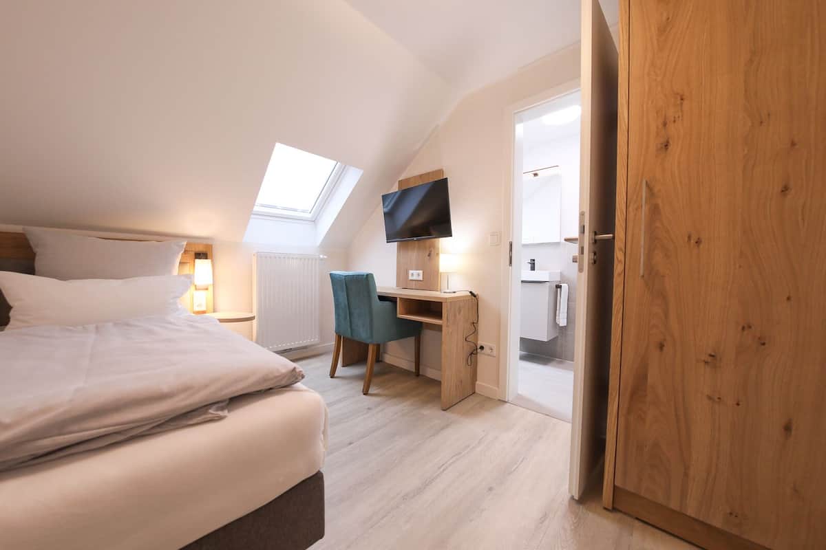 A bedroom with a bed, a desk, a chair, a TV, a skylight, and a wardrobe.