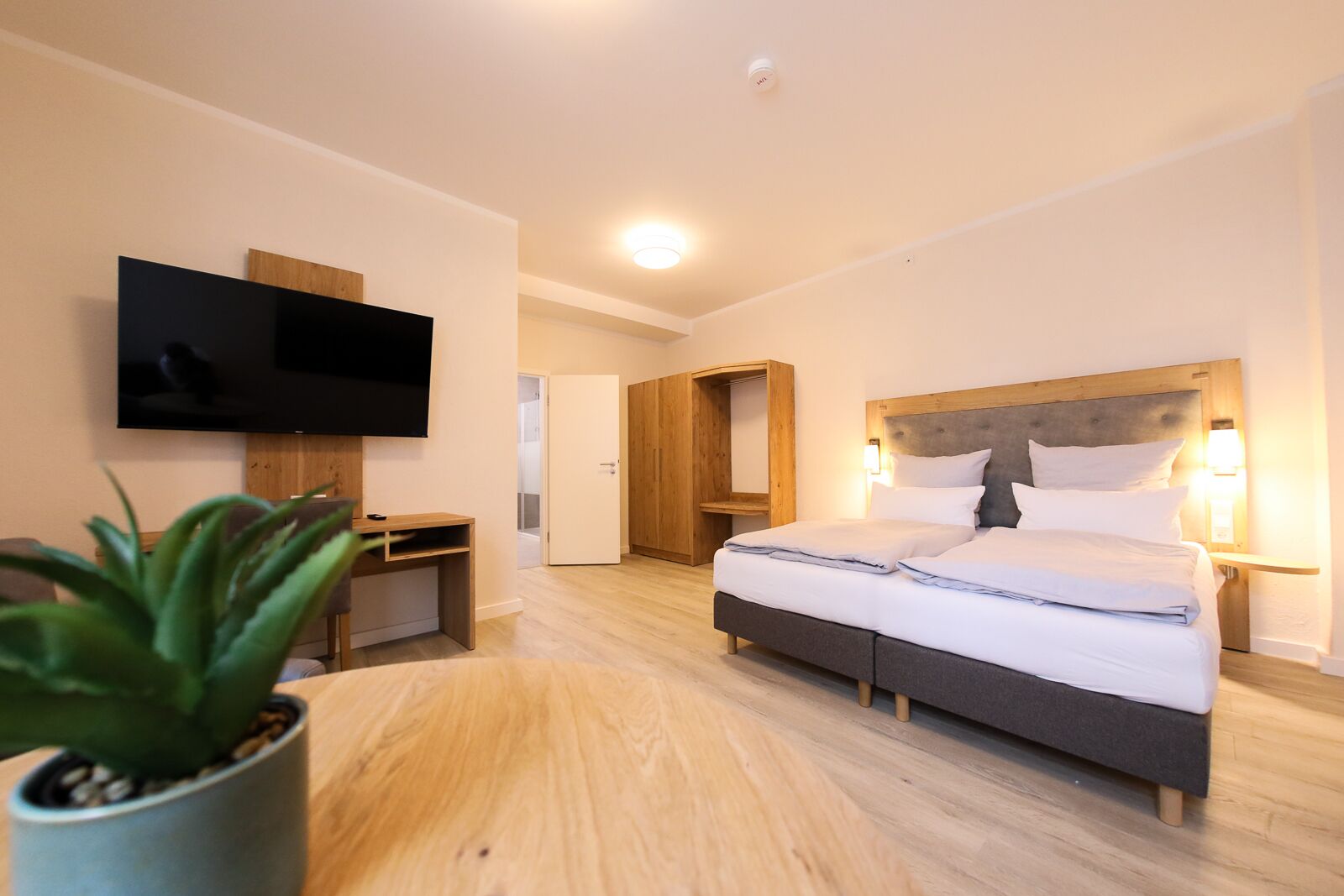 A hotel room with a bed, bedside lamps, a TV mounted on the wall, a desk, and a potted plant.