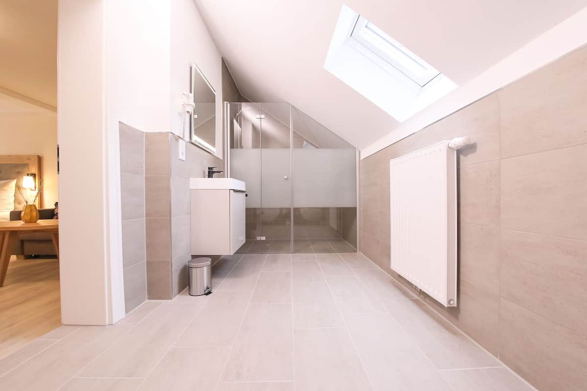 A modern bathroom with a skylight, a shower, and a toilet.