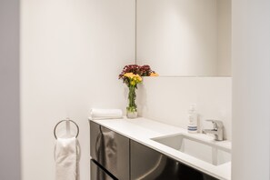 Shower, hair dryer, bidet, towels